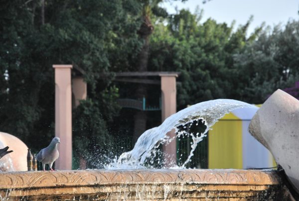 Benefits of Residential Water Wells: Advantages for Homeowners and Communities